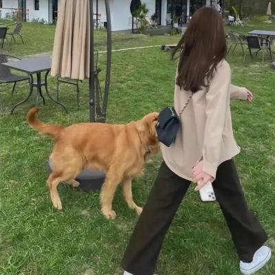 公主复仇者